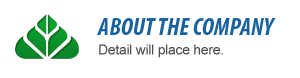 About The Company